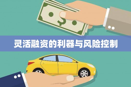麟游灵活融资的利器与风险控制