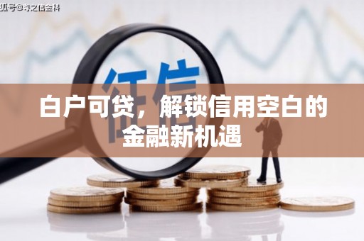 麟游白户可贷，解锁信用空白的金融新机遇
