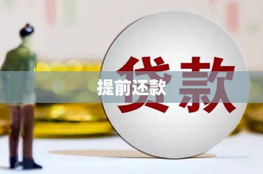 麟游提前还款