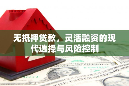 麟游无抵押贷款，灵活融资的现代选择与风险控制