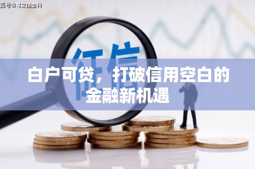 麟游白户可贷，打破信用空白的金融新机遇