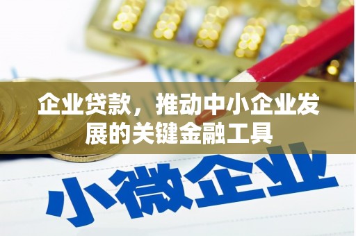 麟游企业贷款，推动中小企业发展的关键金融工具