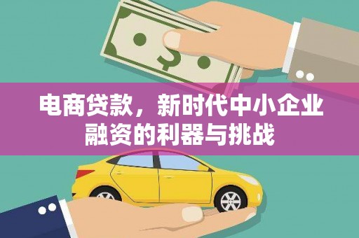 麟游电商贷款，新时代中小企业融资的利器与挑战