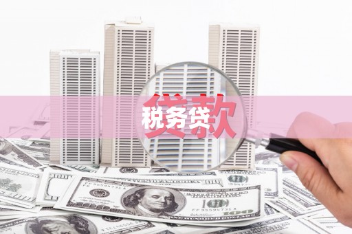 麟游税务贷