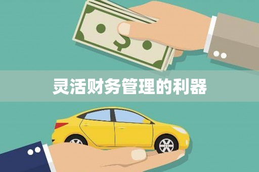 麟游灵活财务管理的利器