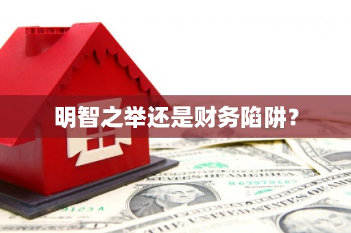 麟游明智之举还是财务陷阱？