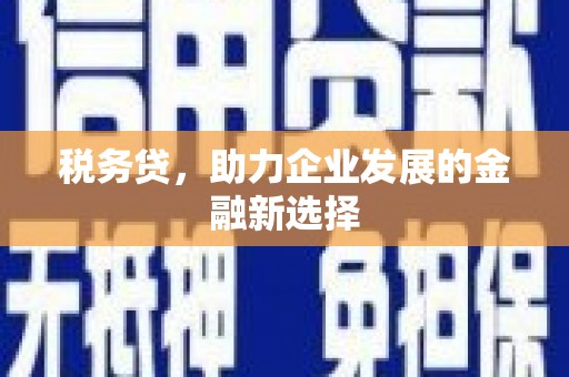 麟游税务贷，助力企业发展的金融新选择