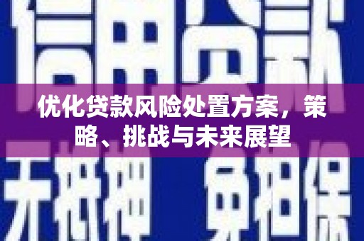 麟游优化贷款风险处置方案，策略、挑战与未来展望