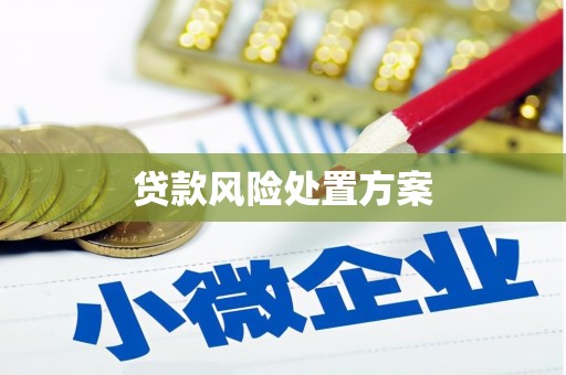 麟游贷款风险处置方案