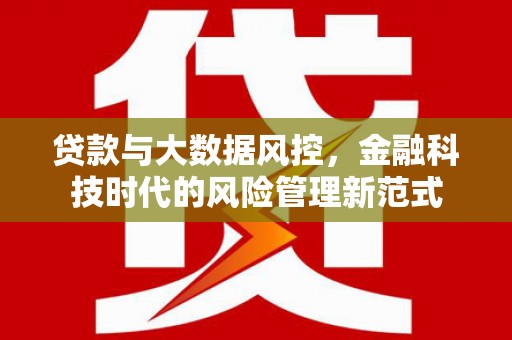 麟游贷款与大数据风控，金融科技时代的风险管理新范式