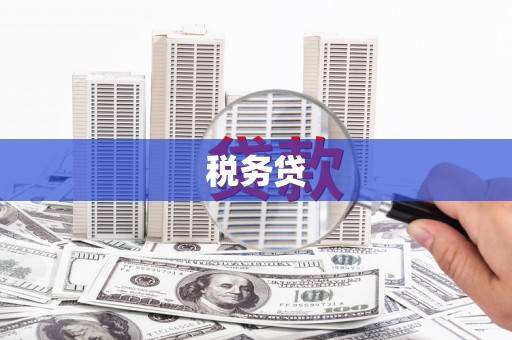 麟游税务贷