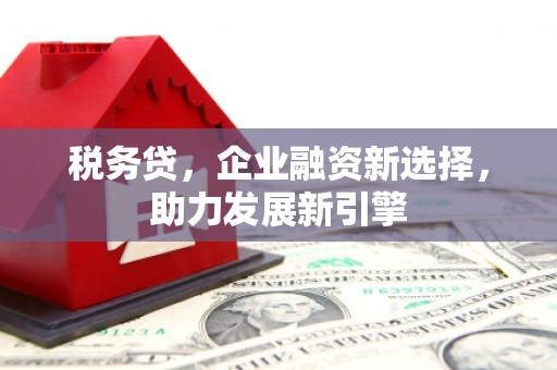 麟游税务贷，企业融资新选择，助力发展新引擎