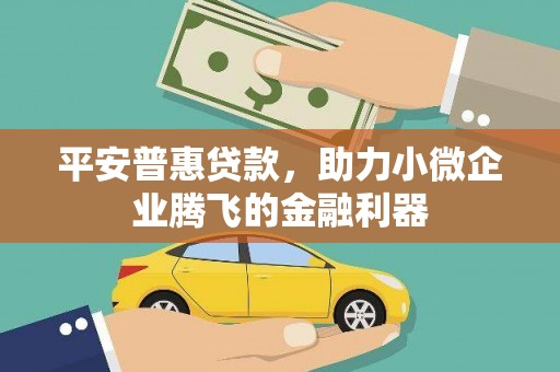 麟游平安普惠贷款，助力小微企业腾飞的金融利器