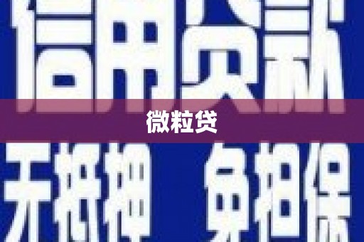 麟游微粒贷