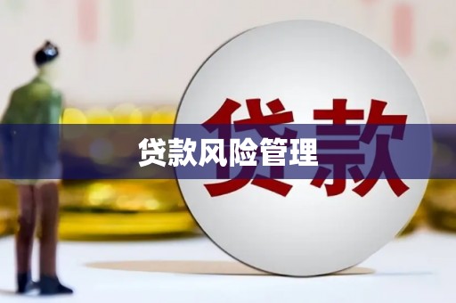 麟游贷款风险管理