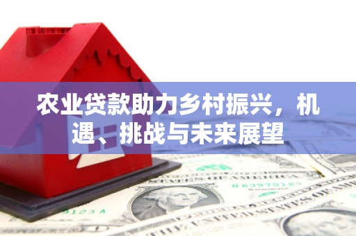 麟游农业贷款助力乡村振兴，机遇、挑战与未来展望