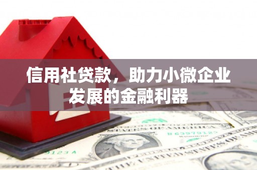 麟游信用社贷款，助力小微企业发展的金融利器