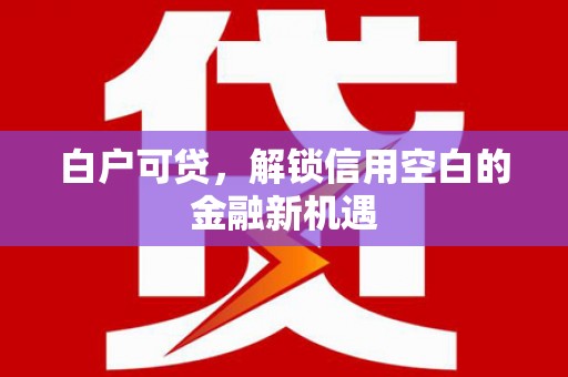 麟游白户可贷，解锁信用空白的金融新机遇