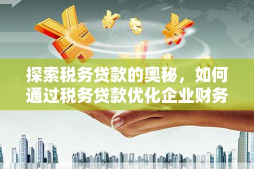 麟游探索税务贷款的奥秘，如何通过税务贷款优化企业财务