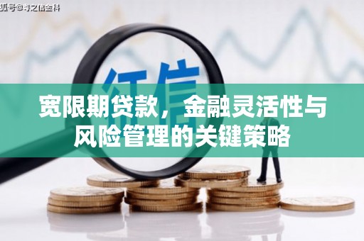 麟游宽限期贷款，金融灵活性与风险管理的关键策略