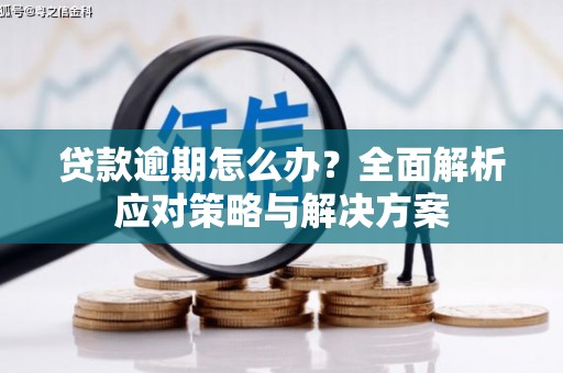 麟游贷款逾期怎么办？全面解析应对策略与解决方案