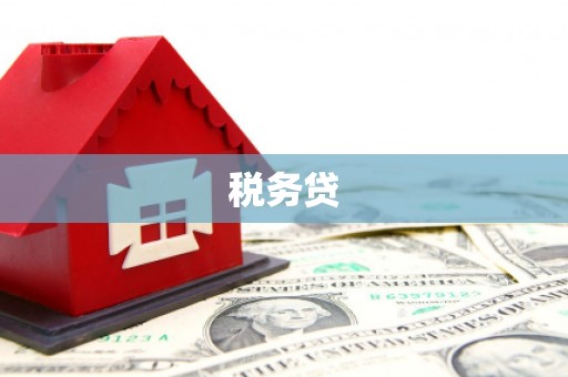 麟游税务贷