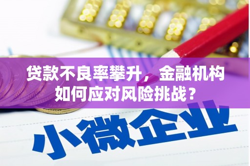 麟游贷款不良率攀升，金融机构如何应对风险挑战？