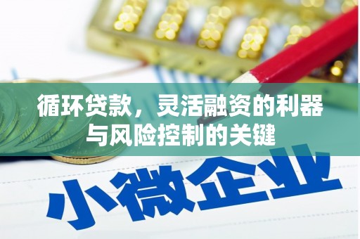 麟游循环贷款，灵活融资的利器与风险控制的关键
