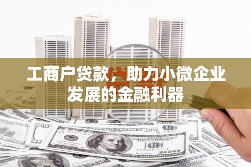 麟游工商户贷款，助力小微企业发展的金融利器