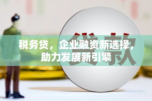 麟游税务贷，企业融资新选择，助力发展新引擎