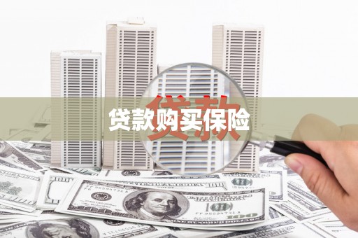 麟游贷款购买保险
