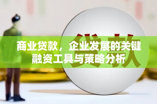 麟游商业贷款，企业发展的关键融资工具与策略分析