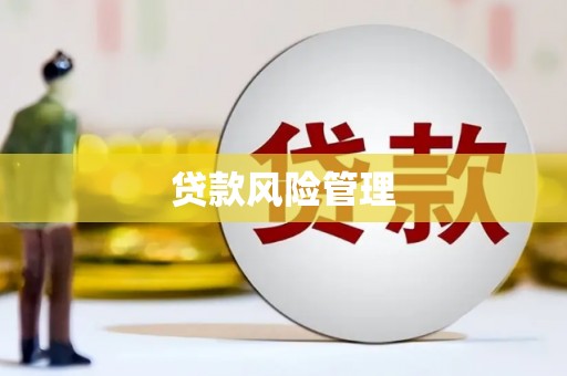麟游贷款风险管理