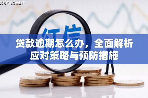 麟游贷款逾期怎么办，全面解析应对策略与预防措施