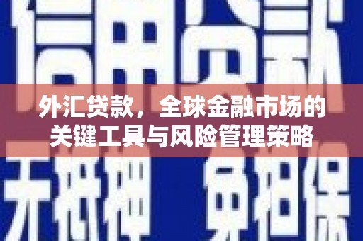 麟游外汇贷款，全球金融市场的关键工具与风险管理策略