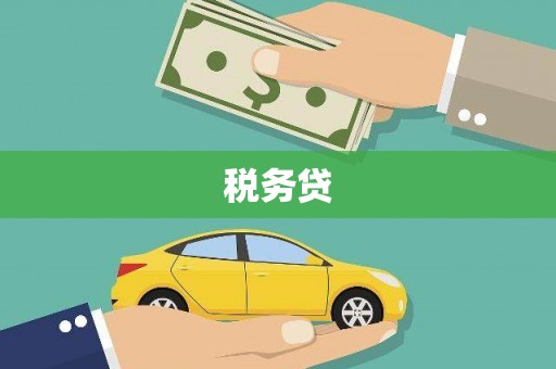 麟游税务贷