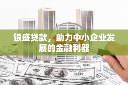 麟游银盛贷款，助力中小企业发展的金融利器