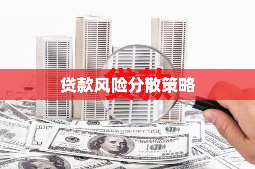 麟游贷款风险分散策略