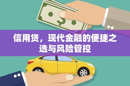 麟游信用贷，现代金融的便捷之选与风险管控
