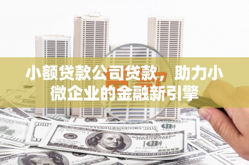 麟游小额贷款公司贷款，助力小微企业的金融新引擎