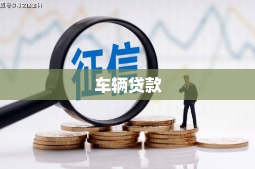 麟游车辆贷款