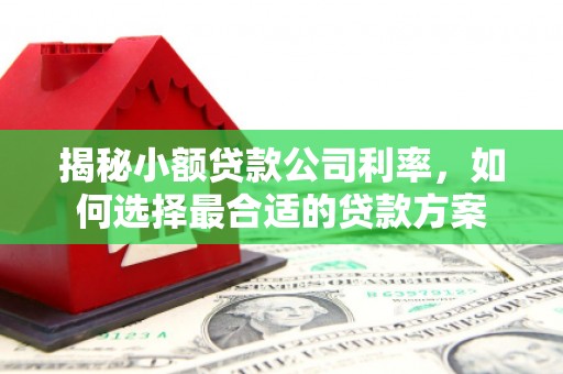 麟游揭秘小额贷款公司利率，如何选择最合适的贷款方案