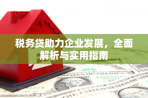 麟游税务贷助力企业发展，全面解析与实用指南