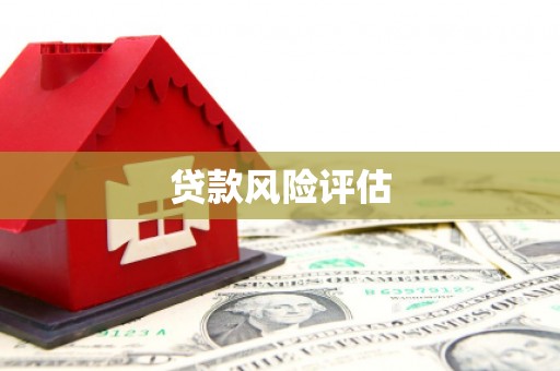 麟游贷款风险评估