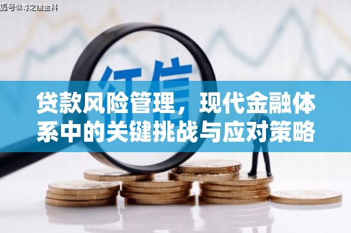 麟游贷款风险管理，现代金融体系中的关键挑战与应对策略
