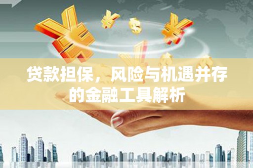 麟游贷款担保，风险与机遇并存的金融工具解析