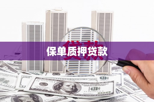 麟游保单质押贷款