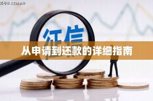 麟游从申请到还款的详细指南