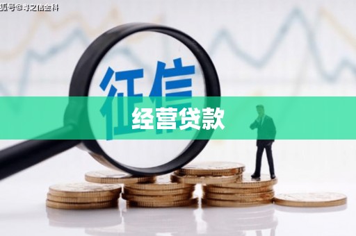 麟游经营贷款